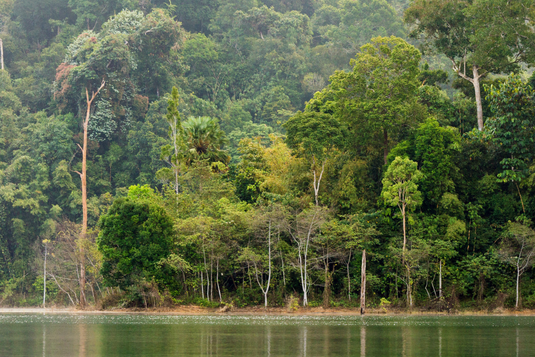 Navigating Indonesia's Carbon Economy after Perpres 110/2025